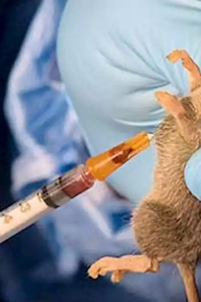 Awe General Hospital In Nasarawa State Shutdown Due To Outbreak Of Lassa Fever