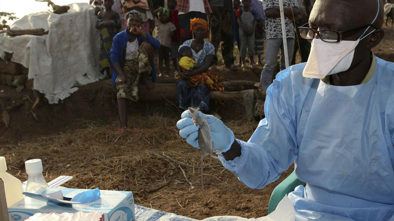 Coronavirus in Nigeria: ‘Follow This Precautions’ – Nigerian Government Tells Citizens