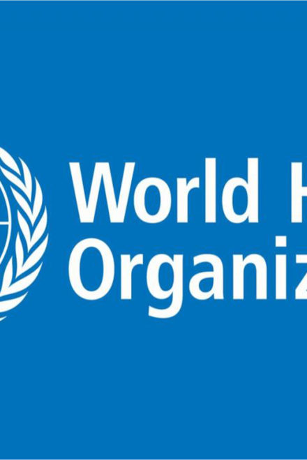 Jigawa State Destroys 5,520 Cartons Of Expired Noodles