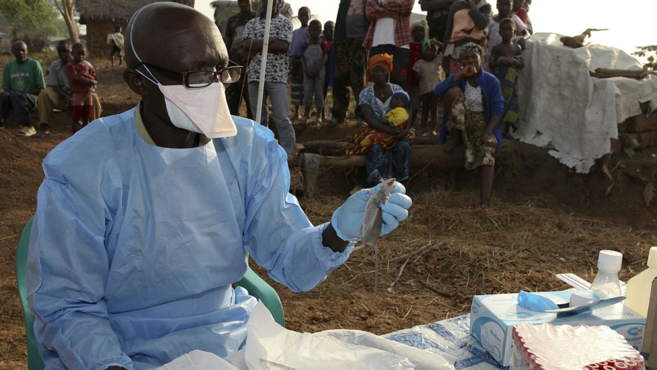 https://www.westafricanpilotnews.com/wp-content/uploads/2020/02/lassa-fever-outbreak-1280x720.jpg