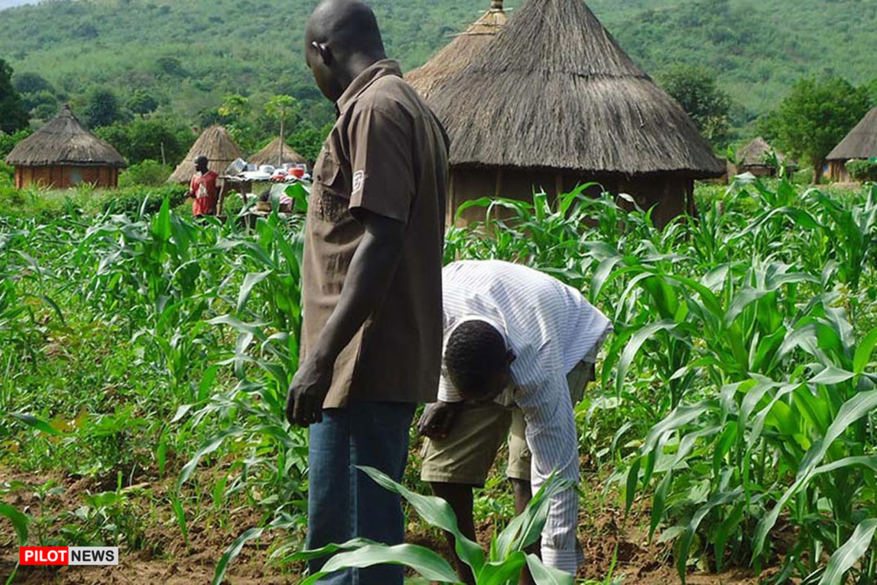 https://www.westafricanpilotnews.com/wp-content/uploads/2020/03/Agric_Enugu-1280x853.jpg