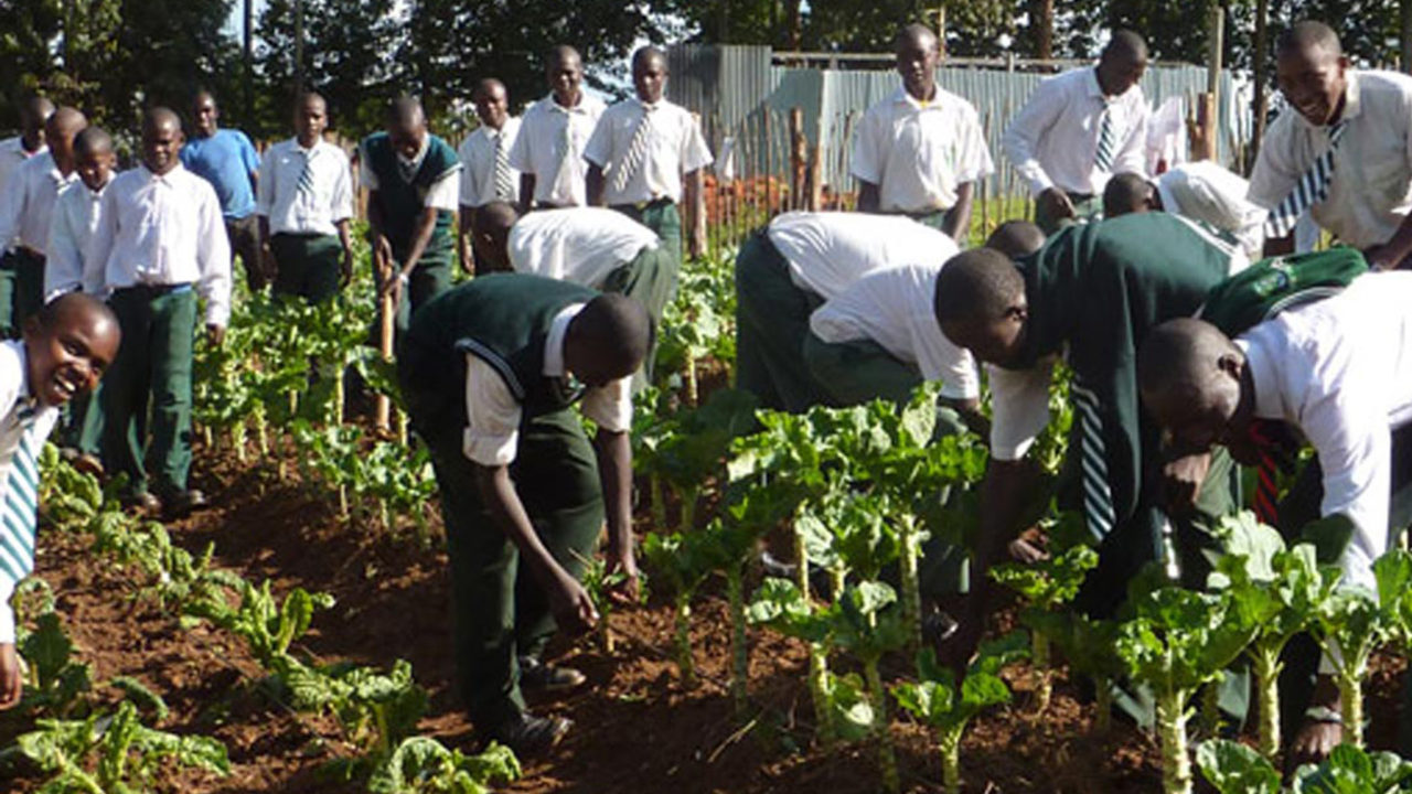 ENUGU: More Agricultural Extension Workers Needed in Enugu State