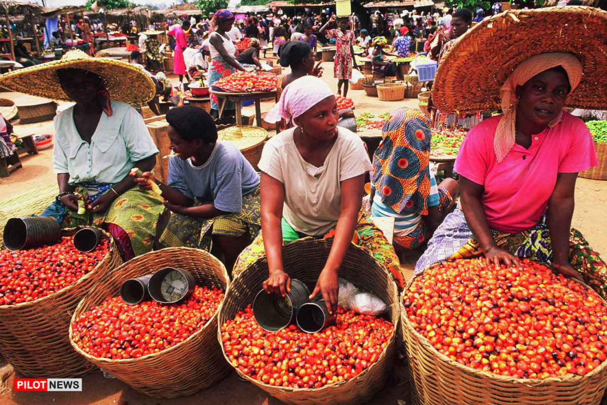 Inflation Slips to 15.39% as Food Price Pressure Eases in August