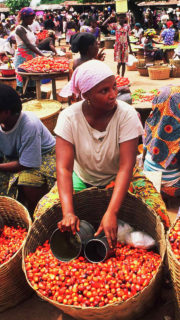 Inflation Slips to 15.39% as Food Price Pressure Eases in August