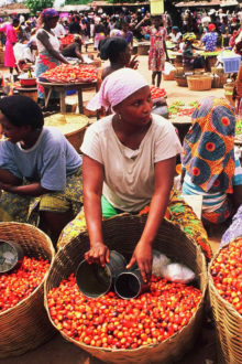 Inflation Slips to 15.39% as Food Price Pressure Eases in August