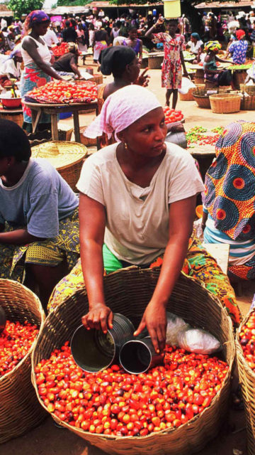 Inflation Slips to 15.39% as Food Price Pressure Eases in August
