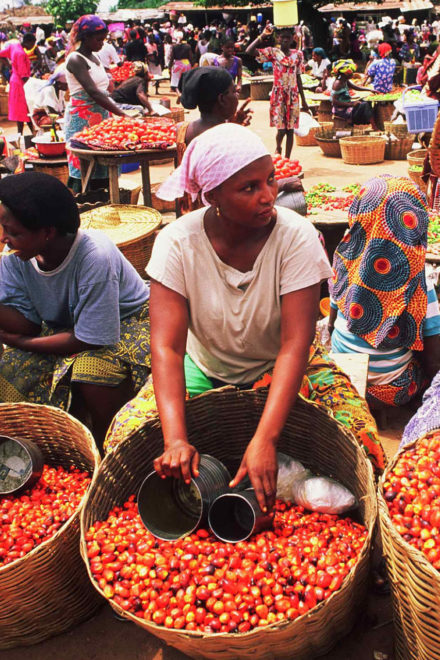 Inflation Slips to 15.39% as Food Price Pressure Eases in August