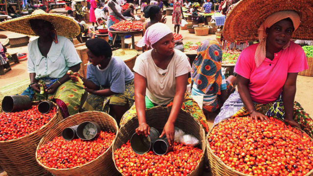 Inflation Slips to 15.39% as Food Price Pressure Eases in August
