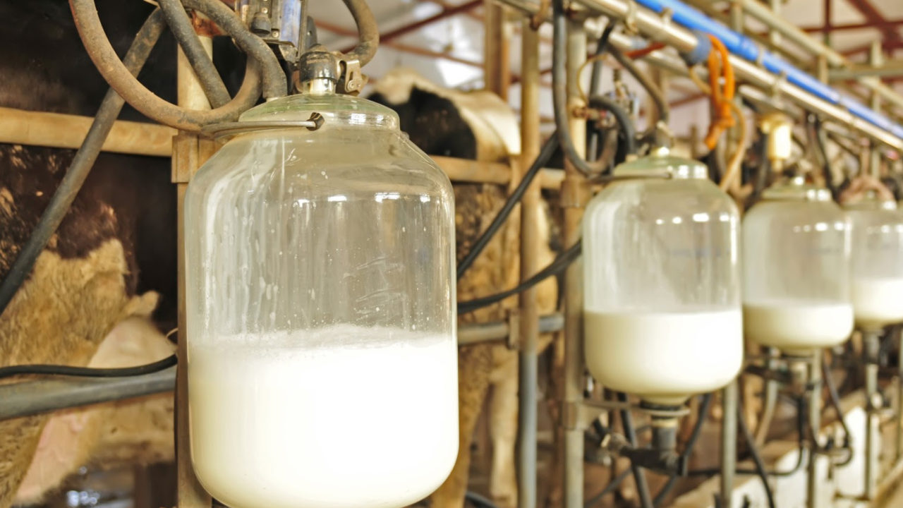 FG Plans to Ban Importation of Milk by 2023