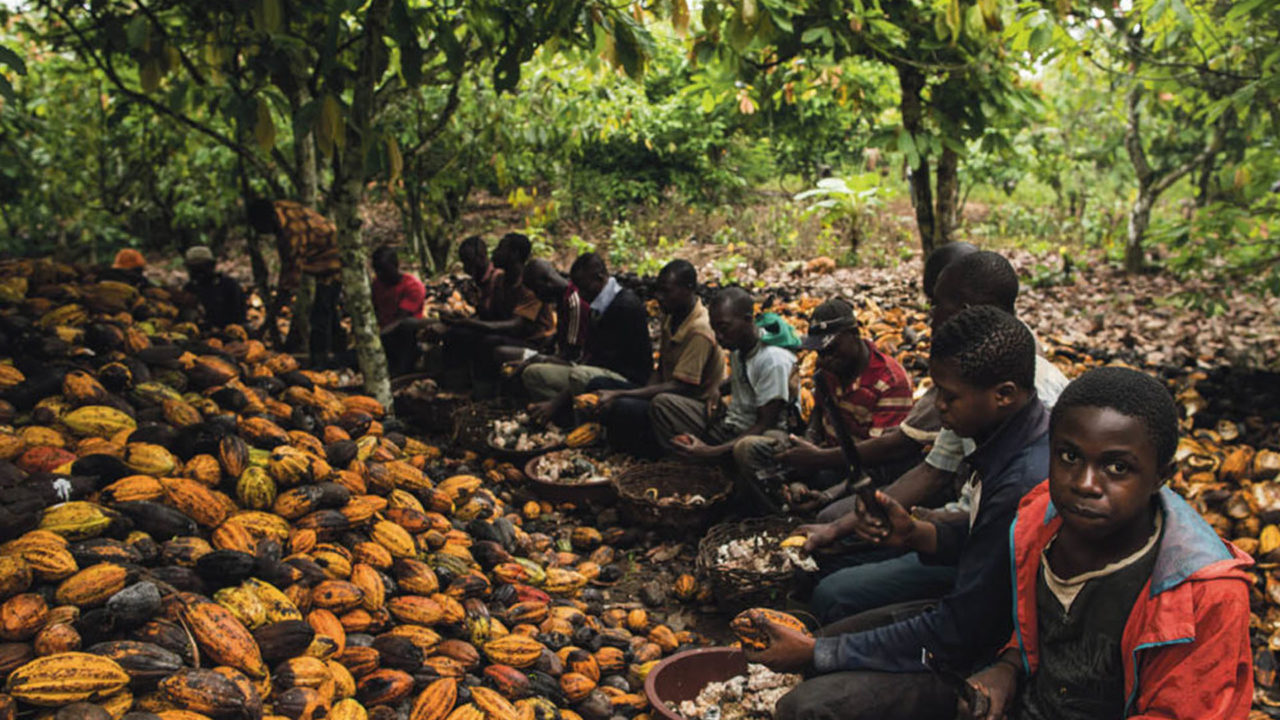 Nestlé Introduces Incentives to Cocoa Farmers to Stop Child Labour