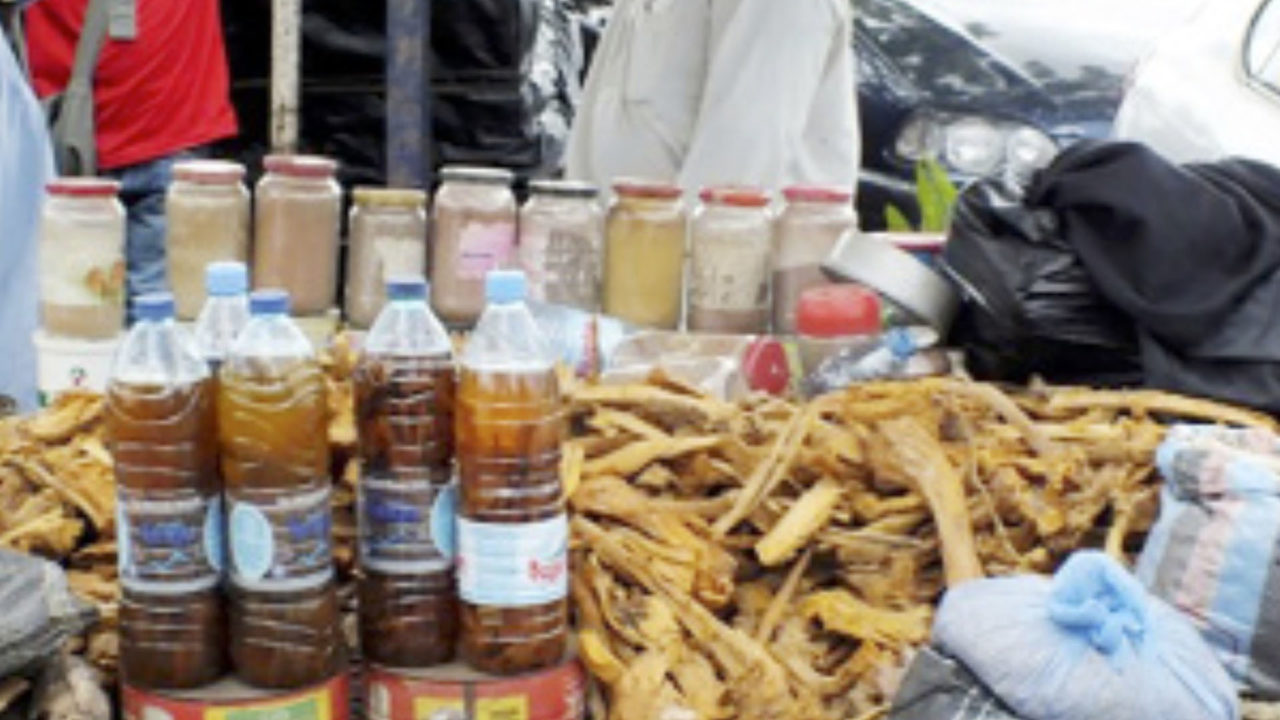Anambra Govt. Identifies 6 Herbal Products for Management of COVID-19