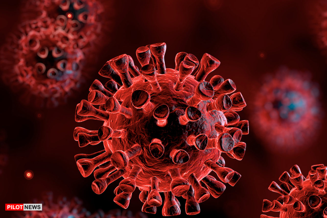 https://www.westafricanpilotnews.com/wp-content/uploads/2020/07/Coronavirus-COVID-19-Image_2_07-11-20-1280x853.jpg