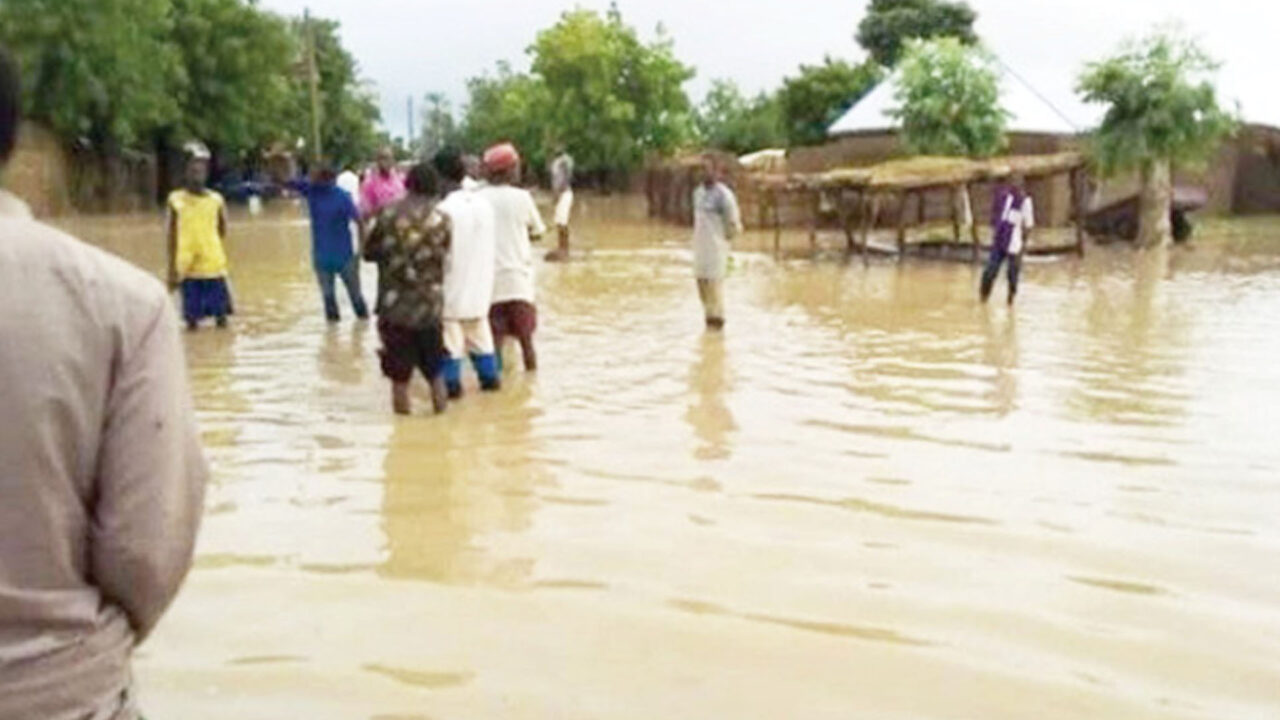 https://www.westafricanpilotnews.com/wp-content/uploads/2020/09/Flooding-Kano-Food-security-threateneds-9-5-20-1280x720.jpg