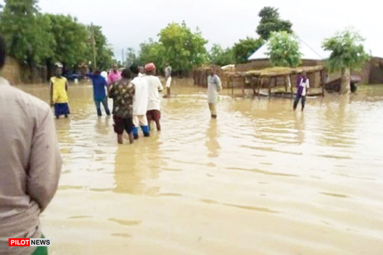 https://www.westafricanpilotnews.com/wp-content/uploads/2020/09/Flooding-Kano-Food-security-threateneds-9-5-20-1280x853.jpg