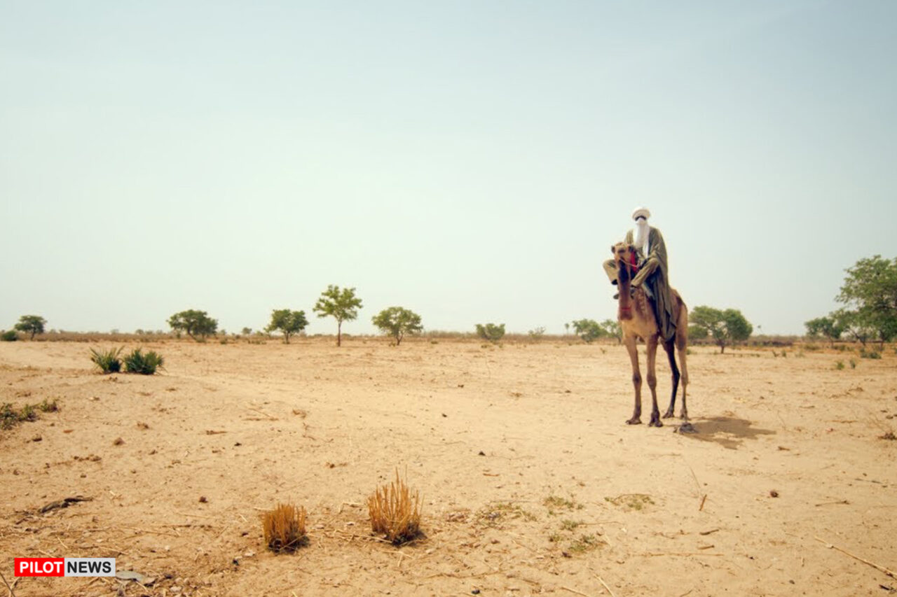 https://www.westafricanpilotnews.com/wp-content/uploads/2020/10/Environment-Desertation-Nigeria_man-on-Camel-10-19-20-1280x853.jpg
