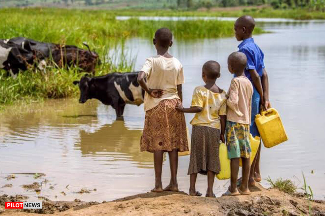 https://www.westafricanpilotnews.com/wp-content/uploads/2020/10/Water-Dirty-Spring-with-Animals-10-17-20_2-1280x853.jpg