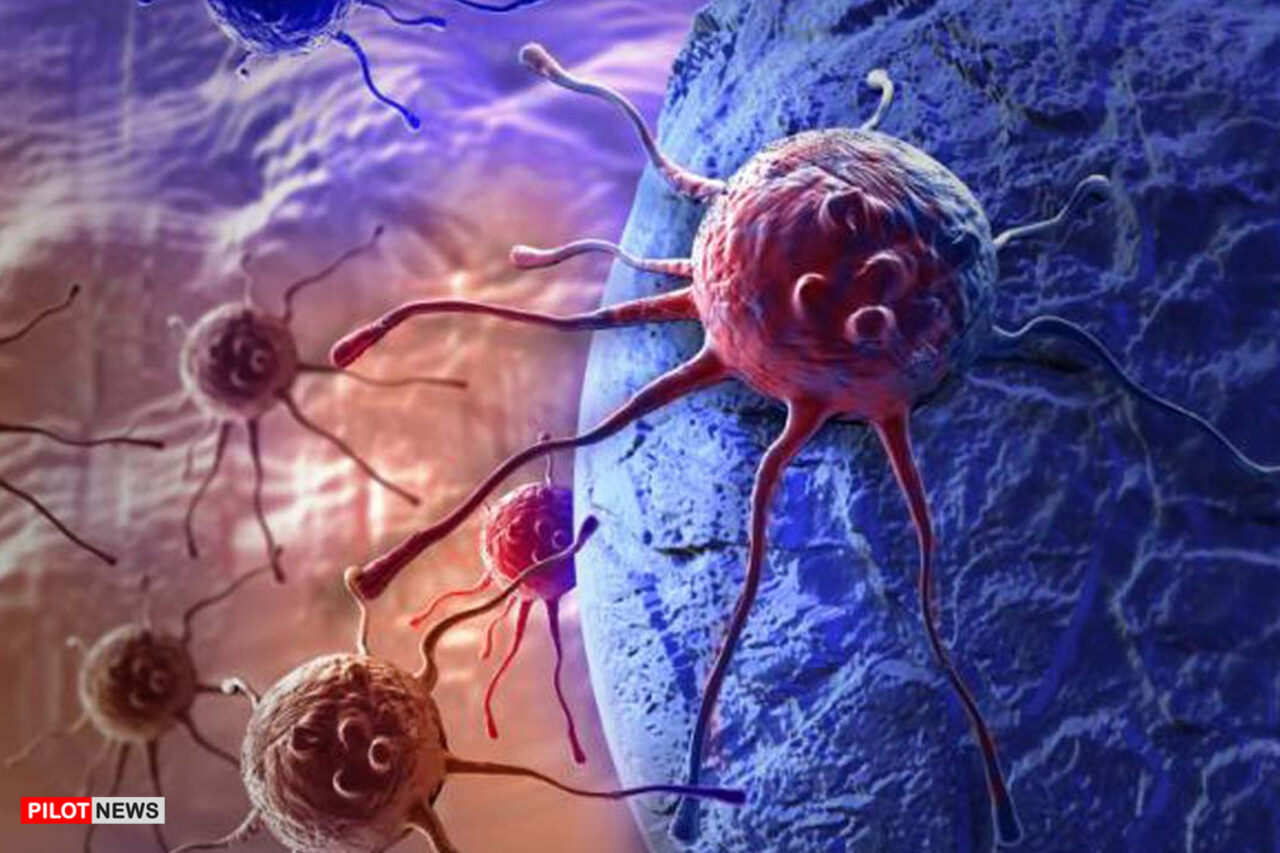 https://www.westafricanpilotnews.com/wp-content/uploads/2020/12/Cancer-Cell_12-28-20-1280x853.jpg