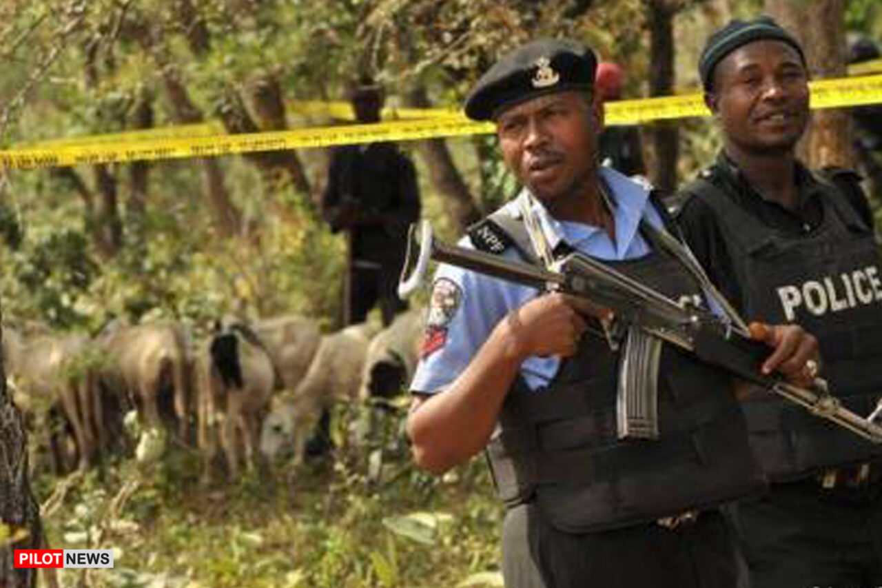 https://www.westafricanpilotnews.com/wp-content/uploads/2021/06/Rustlers-police-arrest-two-transborder-cattle-rustlers-recover-83-cows-in-adamawa_6-3-21-1280x853.jpg