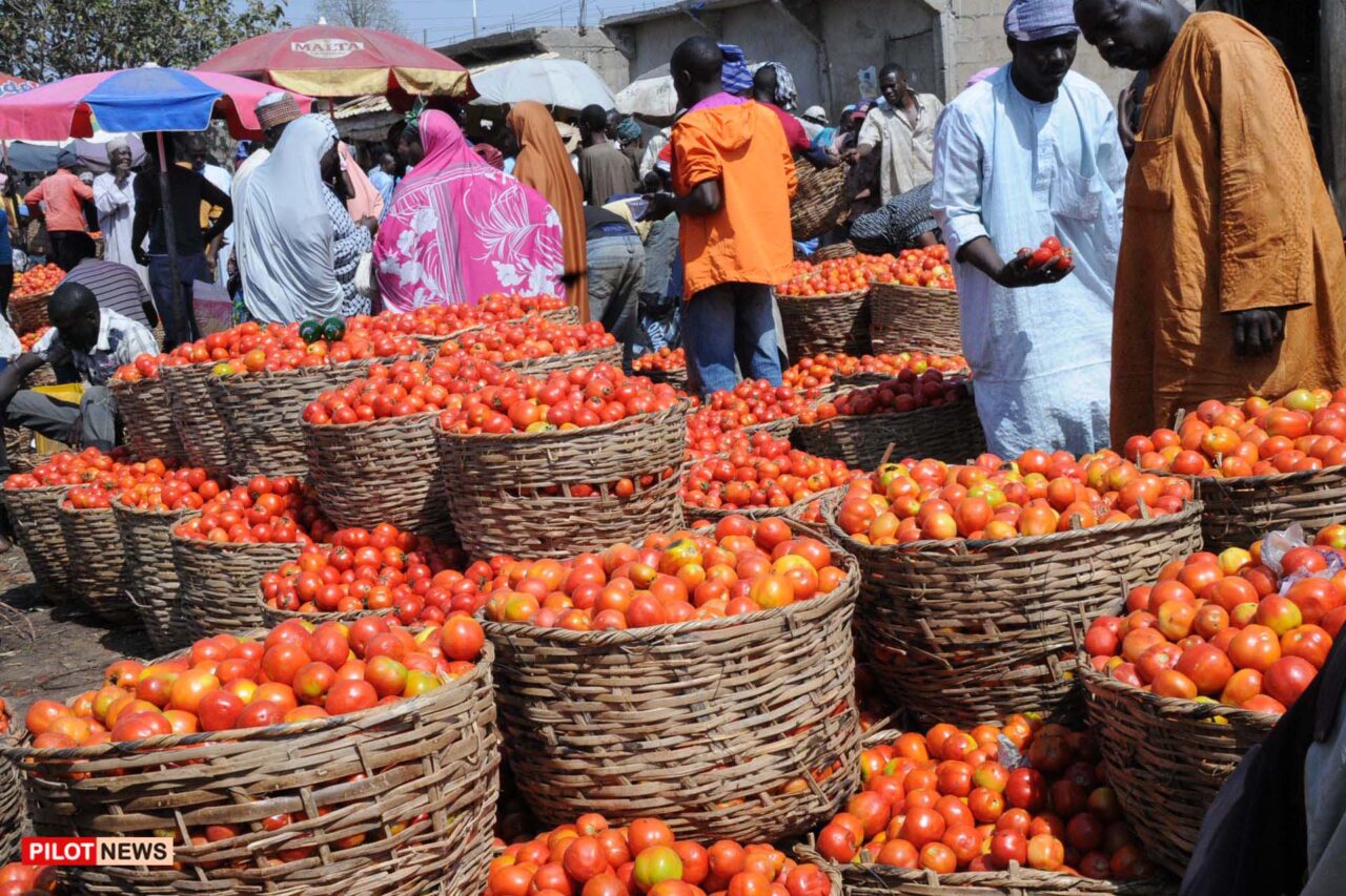 https://www.westafricanpilotnews.com/wp-content/uploads/2021/06/Tomato-market-in-Plateau-state_FILE-1280x853.jpg