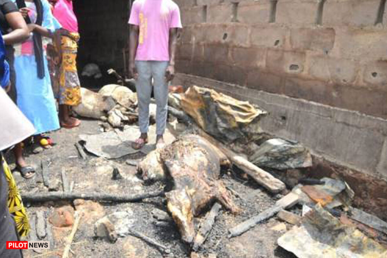 https://www.westafricanpilotnews.com/wp-content/uploads/2021/06/livestock-in-butchers-market-burnt-in-a-late-night-fire-in-Ilorin-image-1280x853.jpg
