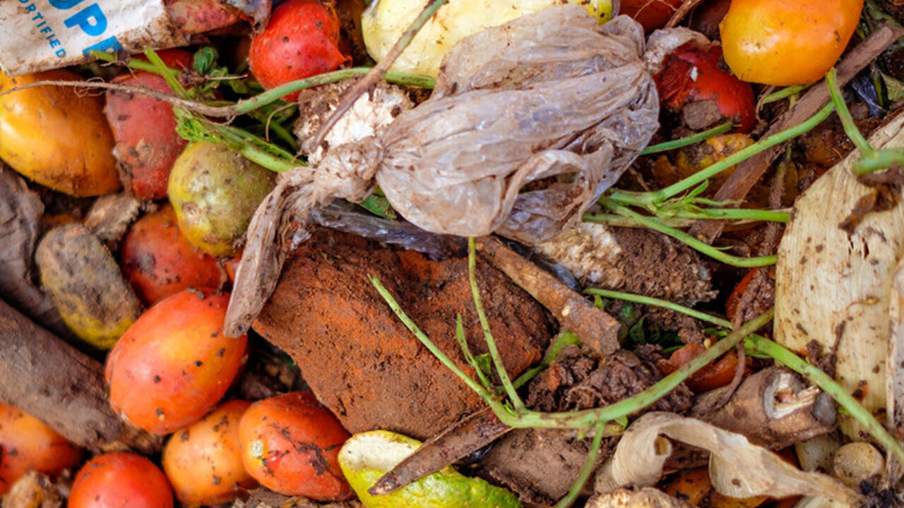 https://www.westafricanpilotnews.com/wp-content/uploads/2021/09/Food-waste_file-image-1280x720.jpg