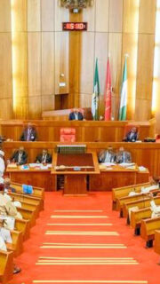 Senate passes Constitution Alteration Bill establishing state police