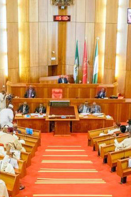 Senate passes Constitution Alteration Bill establishing state police