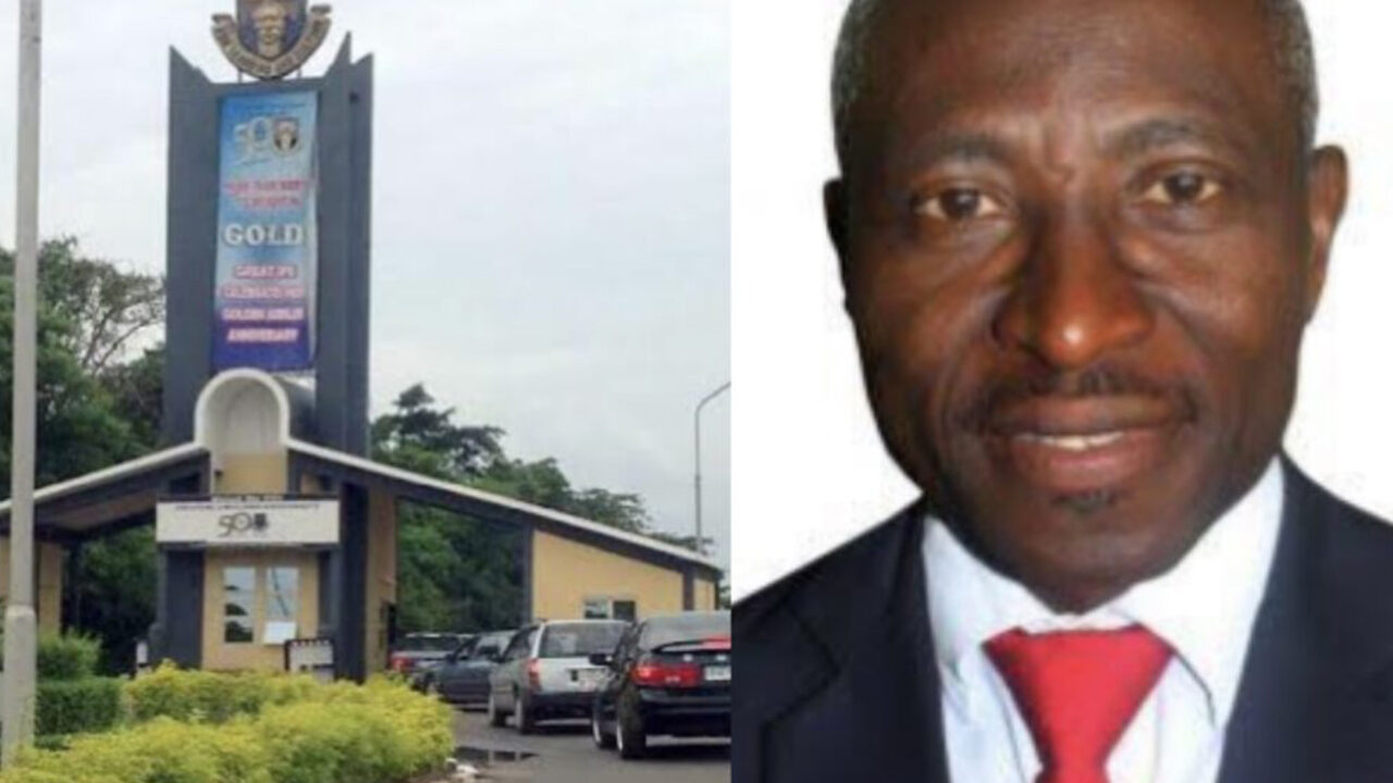 Ife Indigenes Kick Against OAU’s New VC’s Appointment, Invade Campus With Fetish Objects, Charms
