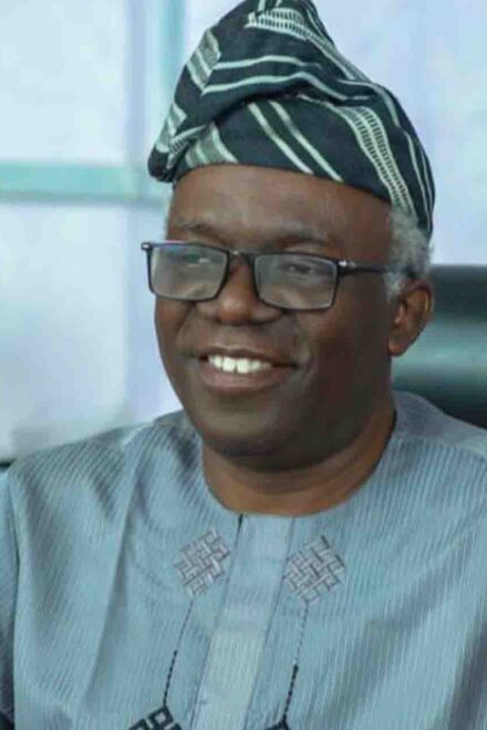 Electoral Reforms: Falana, Bugaje, Utomi, Agbakoba, Others To Occupy NASS