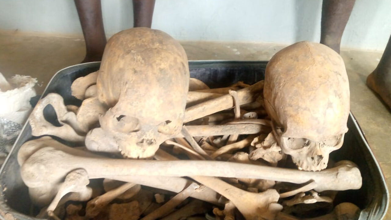 Two Trans-Border Human Skulls, Bones Dealers Apprehended In Adamawa