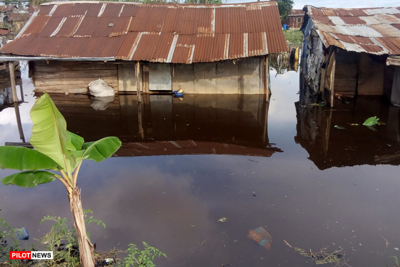 https://www.westafricanpilotnews.com/wp-content/uploads/2022/11/Anambra-state-flood-1280x853.jpg