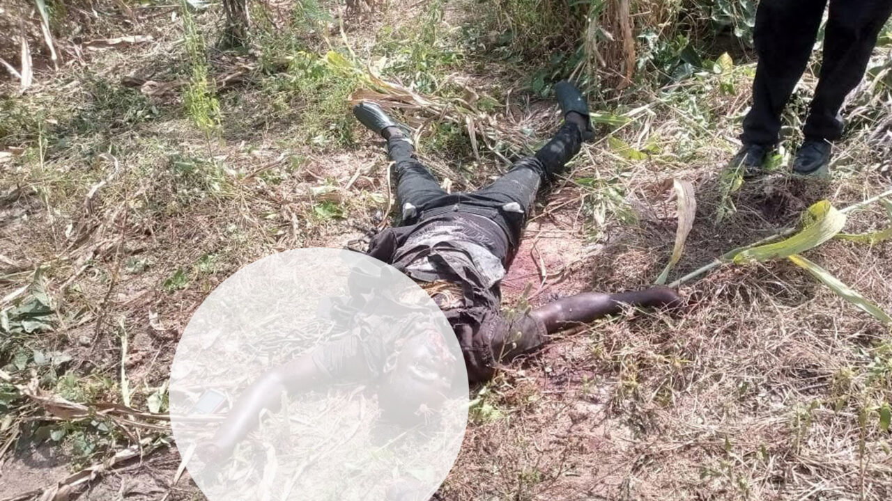 Police Foil Kidnap Attempt In Adamawa