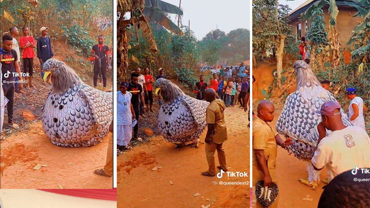 “I Am Proudly Igbo”, Nigerians React to a Viral Video of the Eagle Masquerade