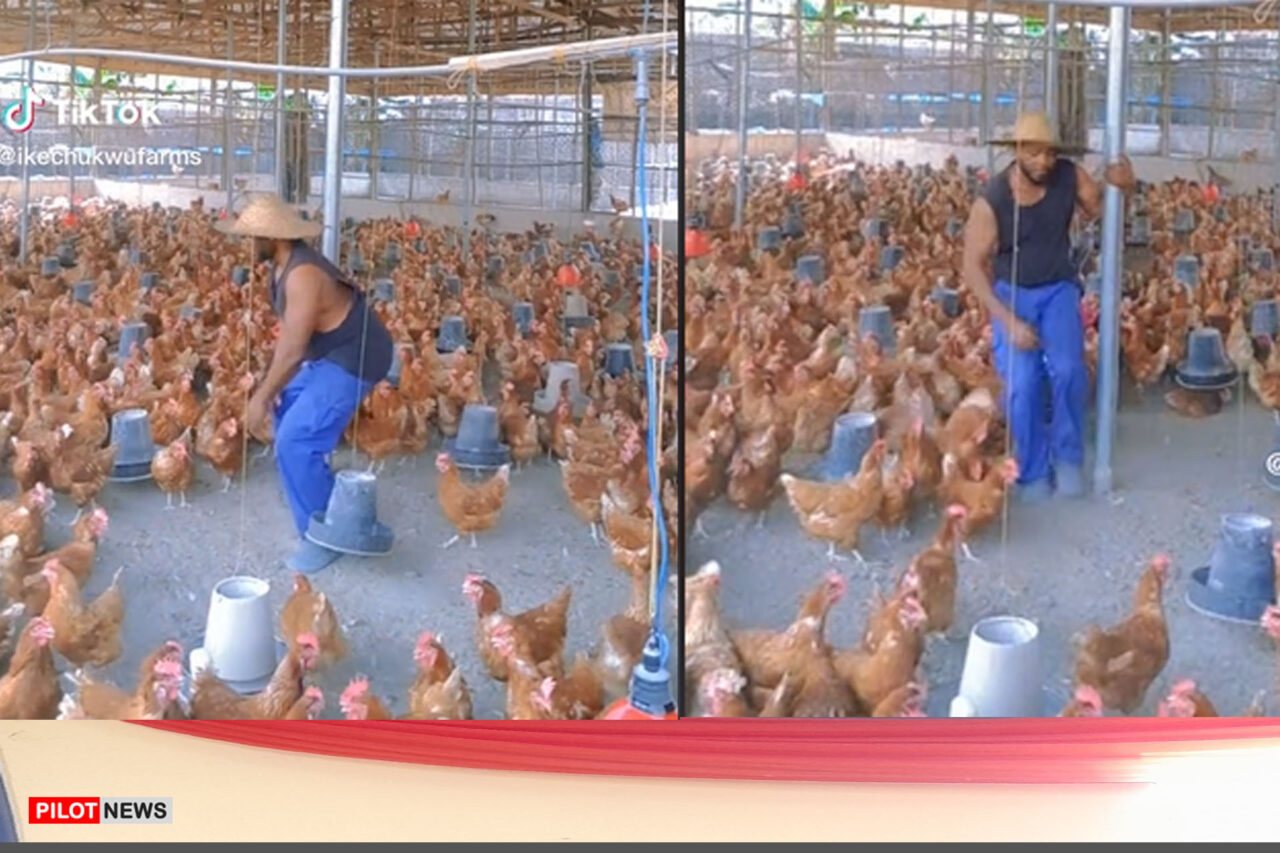https://www.westafricanpilotnews.com/wp-content/uploads/2023/01/Poultry-farmer-1280x853.jpg