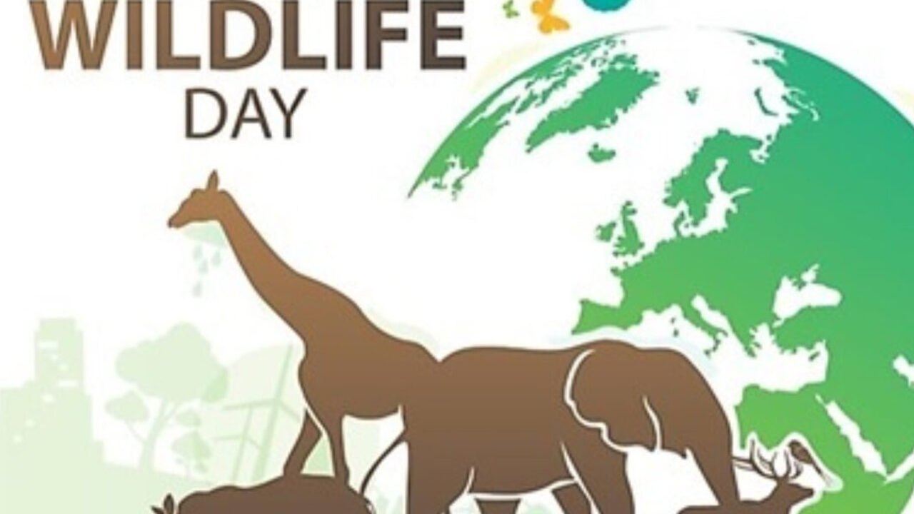 https://www.westafricanpilotnews.com/wp-content/uploads/2023/03/World-Wildlife-Day-1280x720.jpg