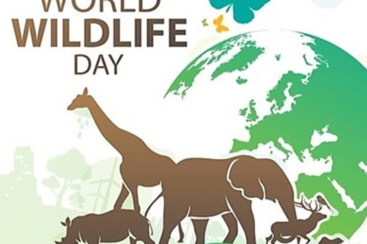 https://www.westafricanpilotnews.com/wp-content/uploads/2023/03/World-Wildlife-Day-1280x853.jpg