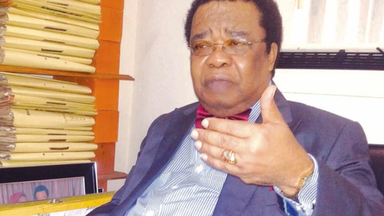 S/Africa focusing on election into UN Security Council to checkmate Nigeria – Prof. Akinyemi