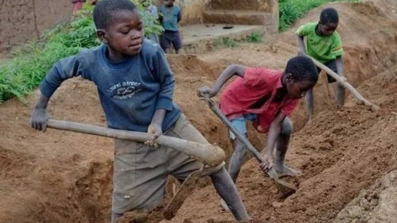 50% of Nigerian children engaged in child labour – Anambra govt