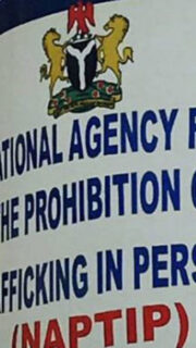 NAPTIP Arrests Four Human Traffickers, Rescues 17 Victims In Anambra 