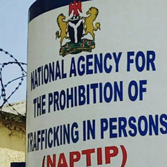 NAPTIP Arrests Four Human Traffickers, Rescues 17 Victims In Anambra 