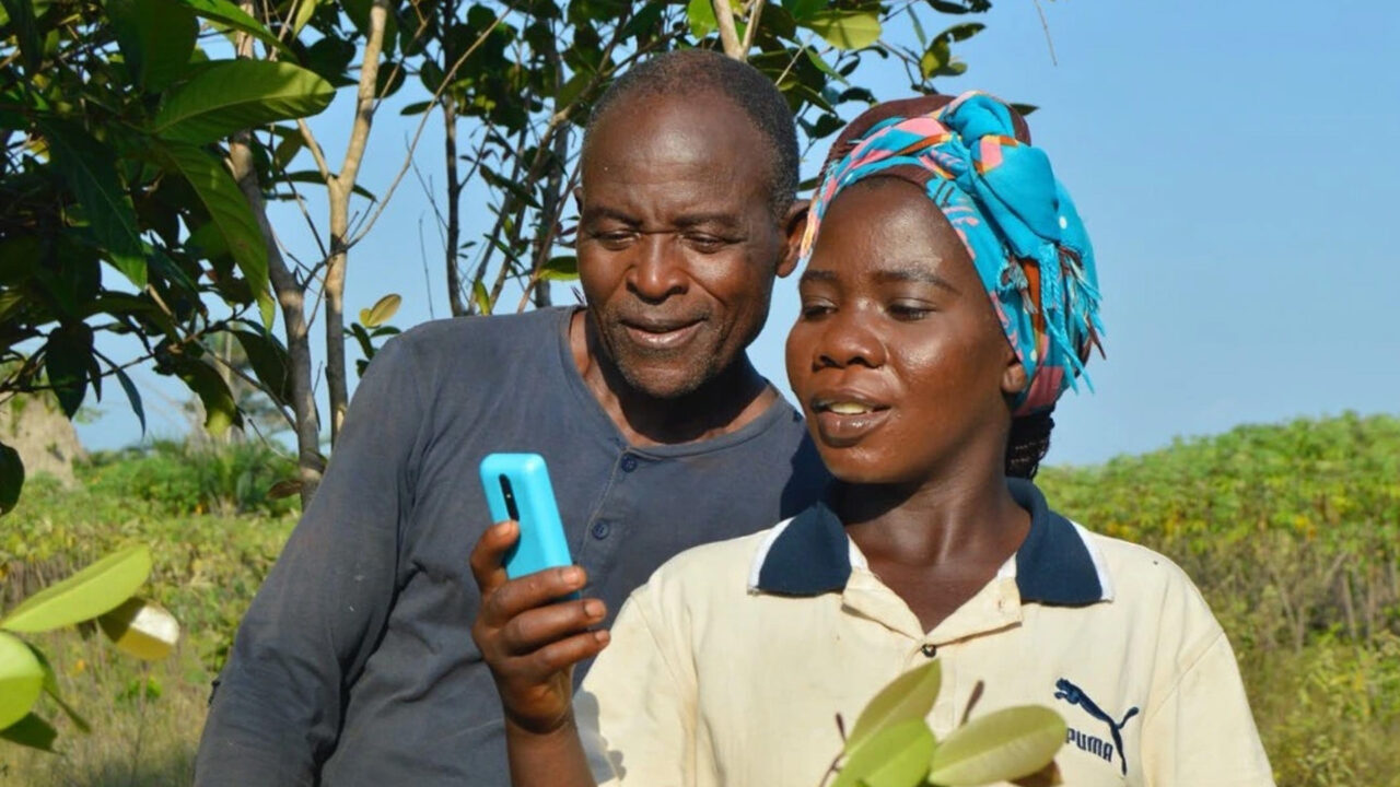 11Million farmers adopt tingo mobile, tintech app for daily operations