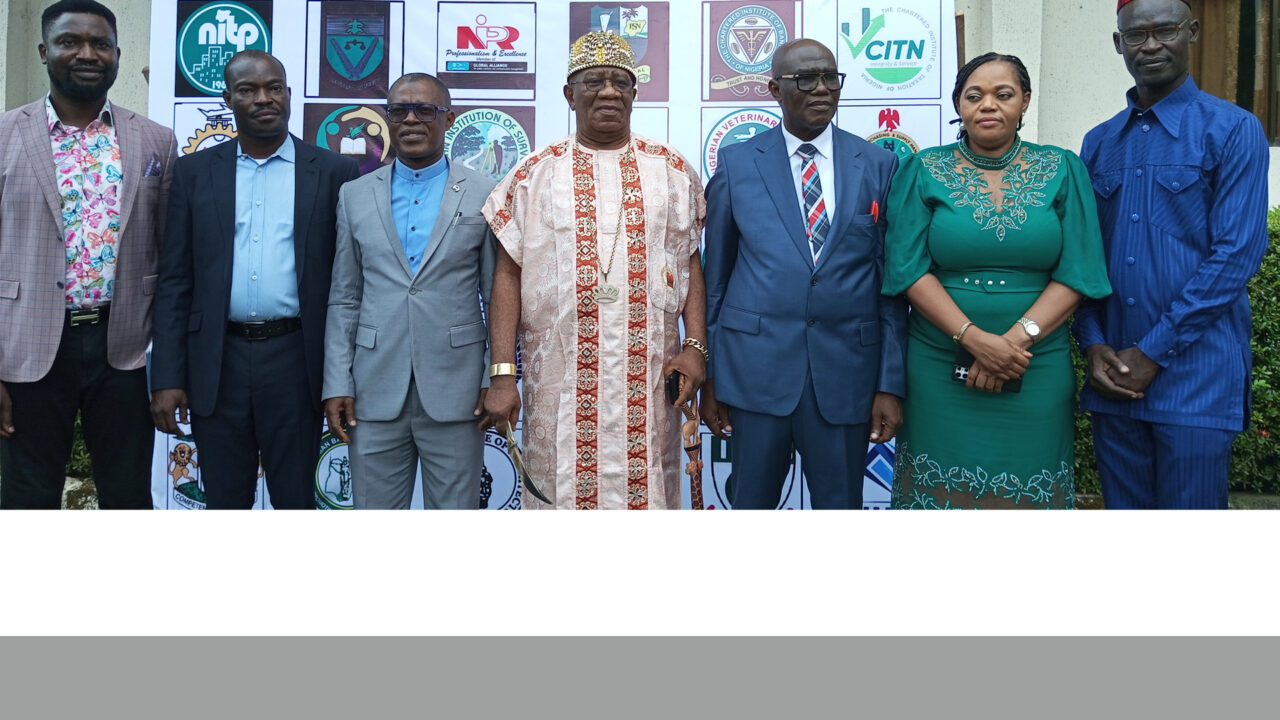 APBN Holds Professional Summit To Tackle Challenges In Health Sector