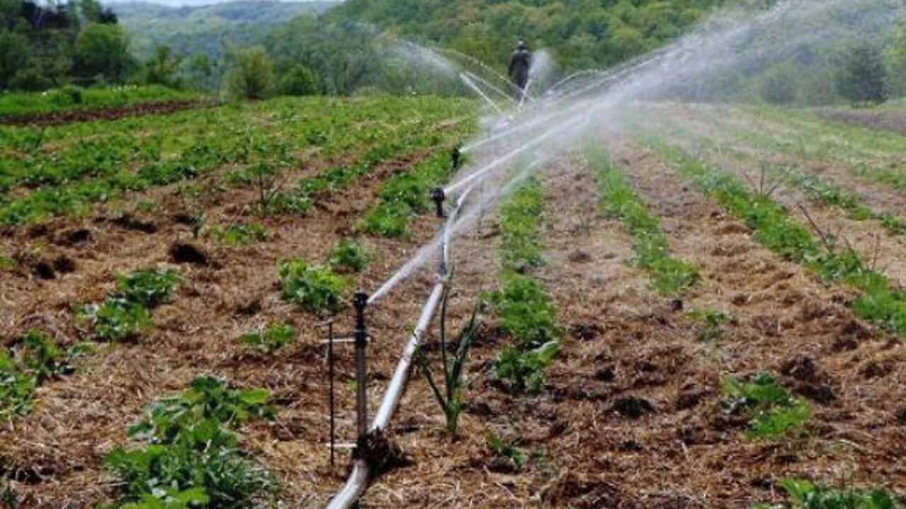 Inconsistent Rainfall: Upsurge Fear Grip Farmers Of Poor Harvest
