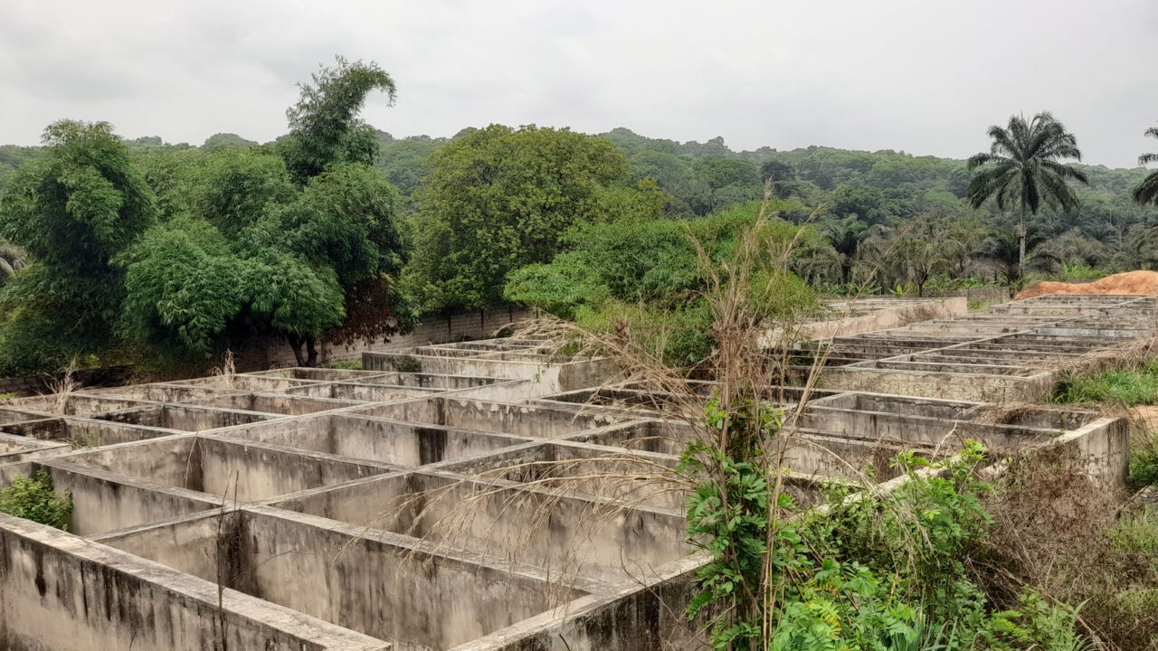 “ECOWAS of the State” to “ECOWAS of the People” – A Significant Shift