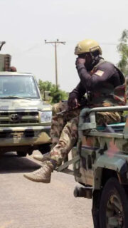 Troops Capture Terrorist, Recover Rustled Livestock 