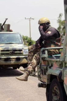 Troops Capture Terrorist, Recover Rustled Livestock 