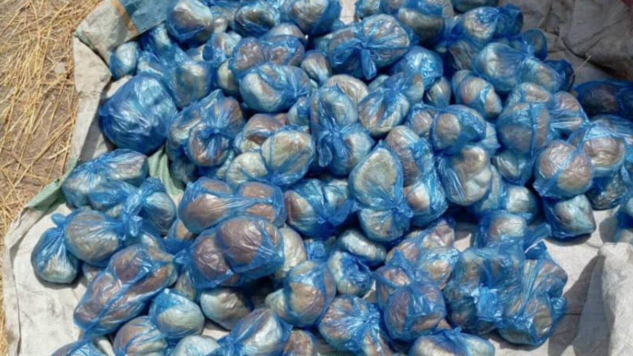 Nigerian Army Busts ISWAP Bakery in Borno Raid