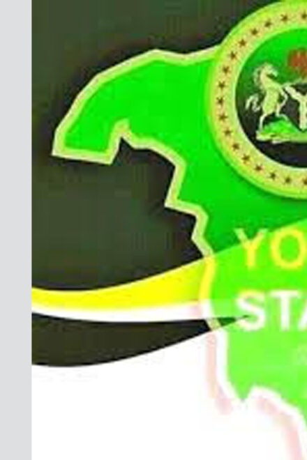 430 Alleged Illegal Pharmacies Operate In Yobe