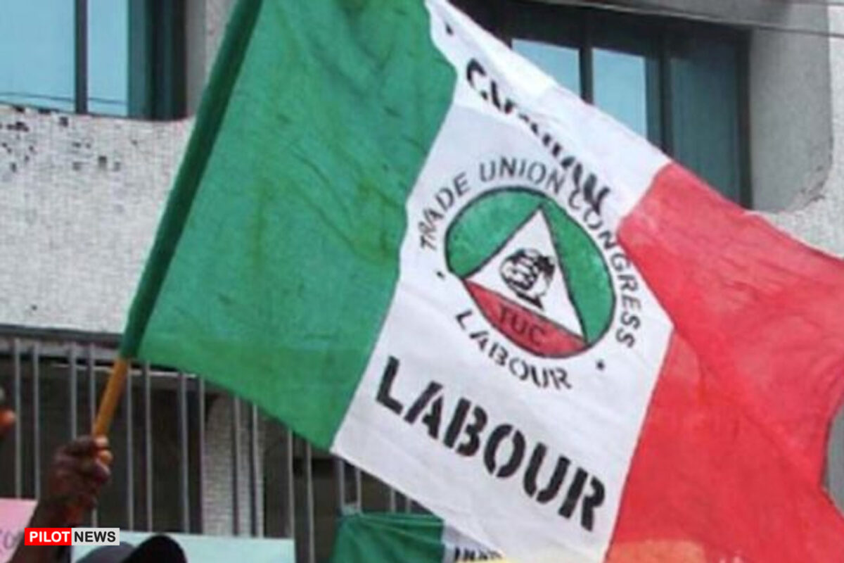 Nigerian Workers Protest Against Insecurity