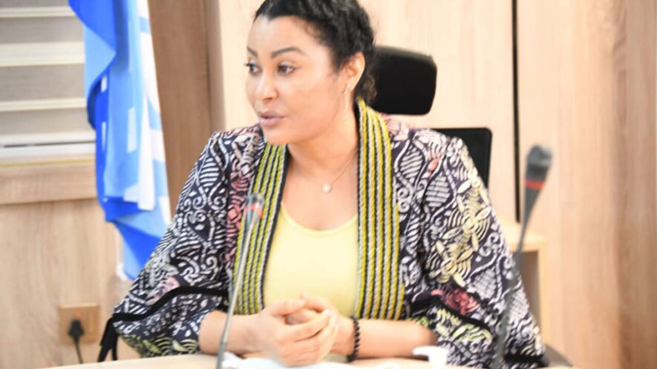 Peotest: Trade Minister Says Over N52 Billion Worth Of Goods Destroyed